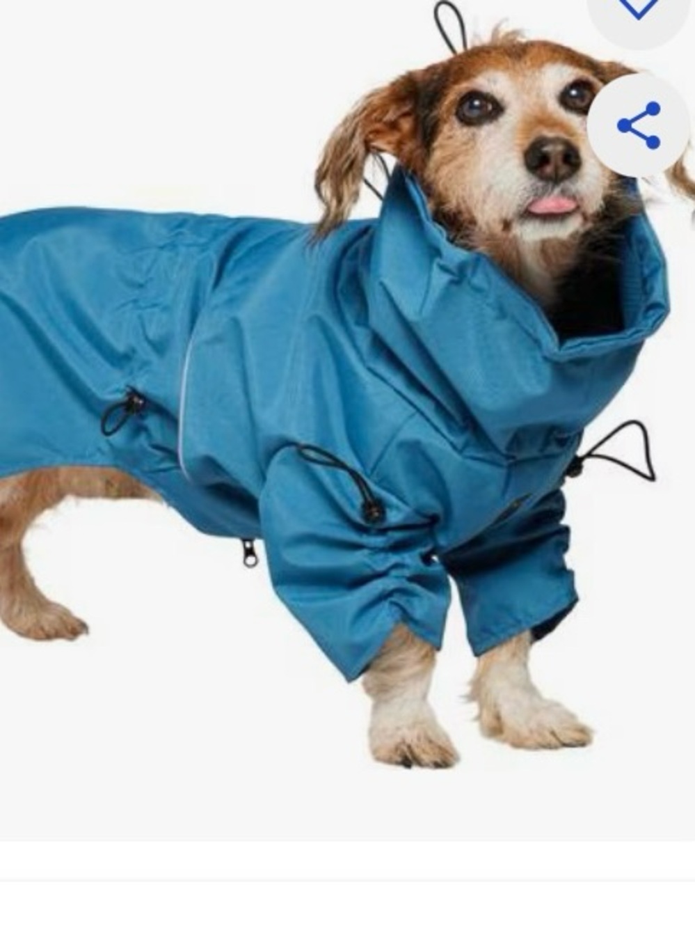 NWT Frisco Water Resistant Dog Raincoat, Blue, Medium
